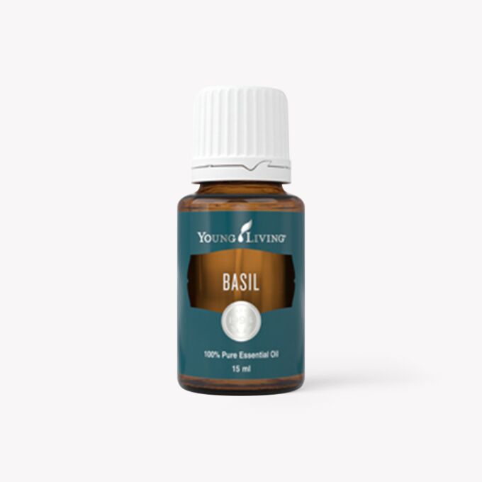 Young Living Öl Basilikum